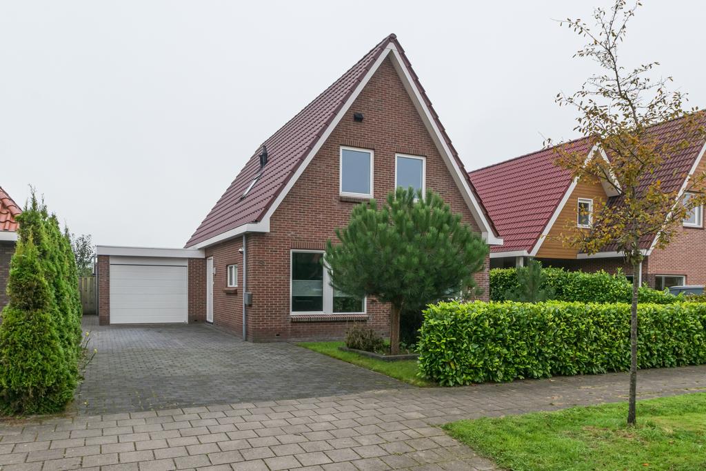 Dotterblom 3 Lippenhuizen